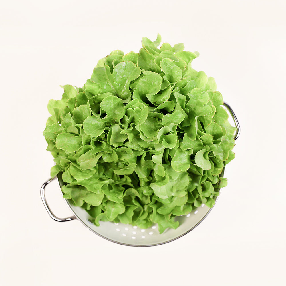 demeter-Salat | 1 Stk.